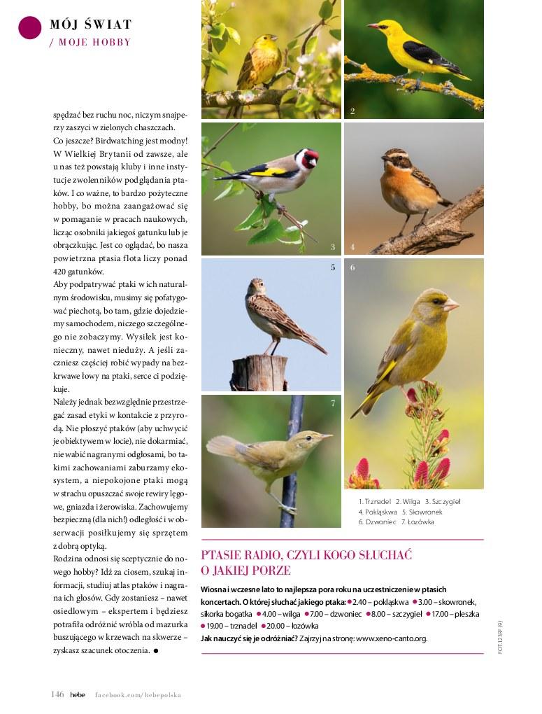 Gazetka promocyjna Hebe str. 146