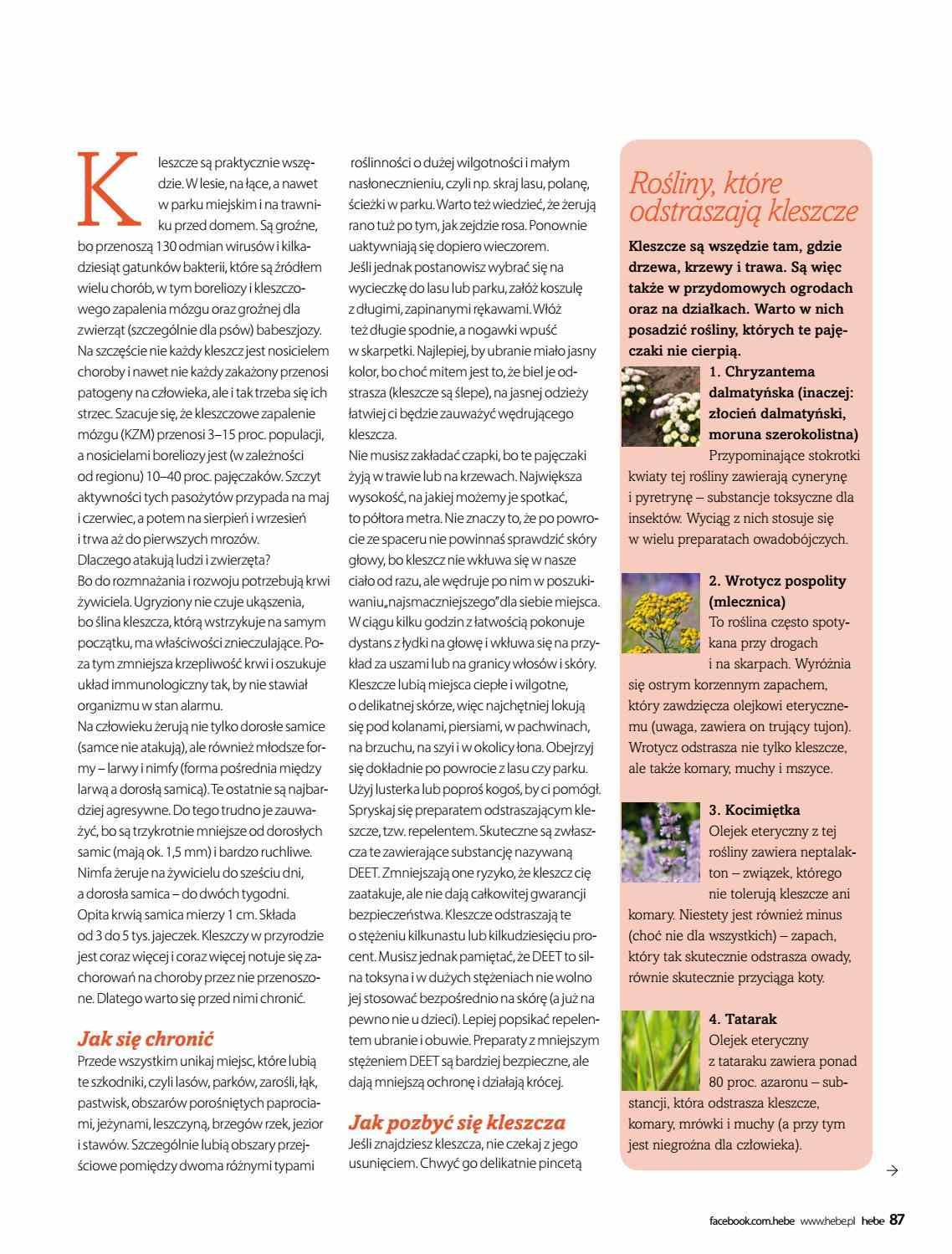 Gazetka promocyjna Hebe str. 87