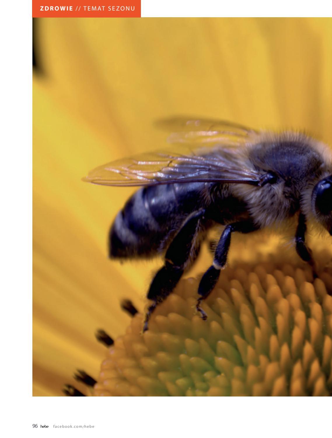 Gazetka promocyjna Hebe str. 96
