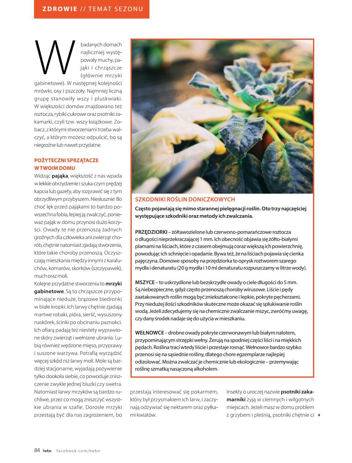 Gazetka promocyjna Hebe str. 84