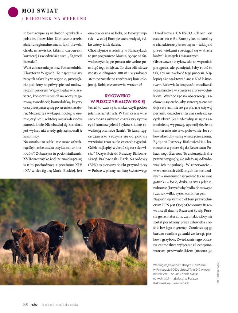 Gazetka promocyjna Hebe str. 160