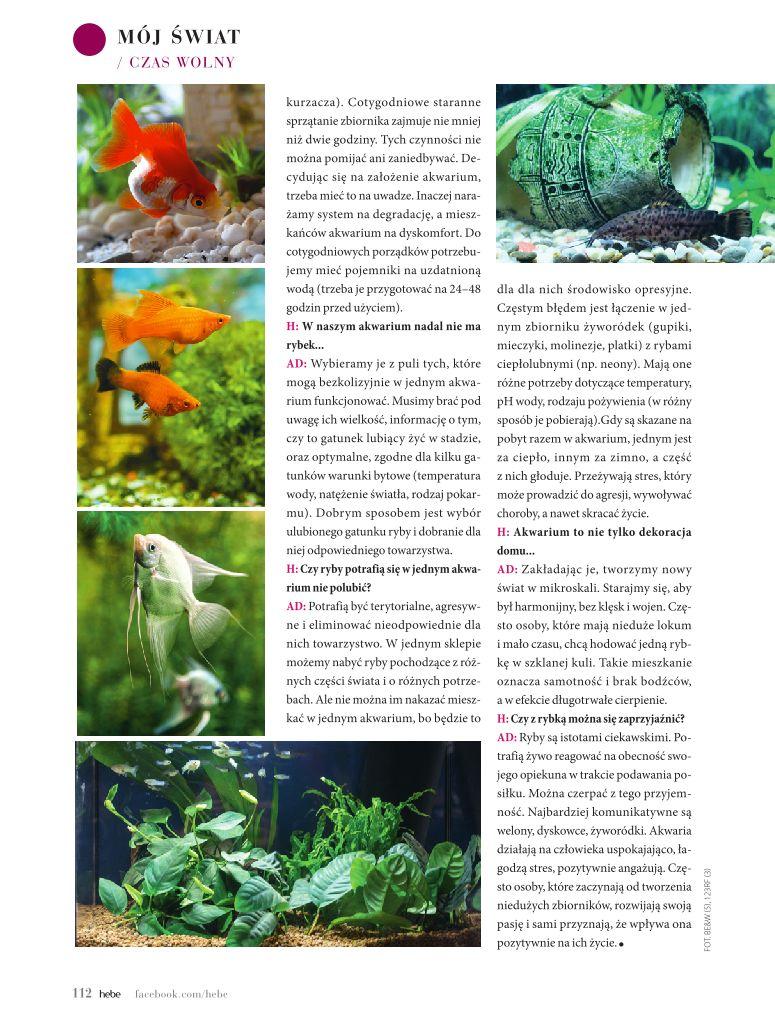 Gazetka promocyjna Hebe str. 112
